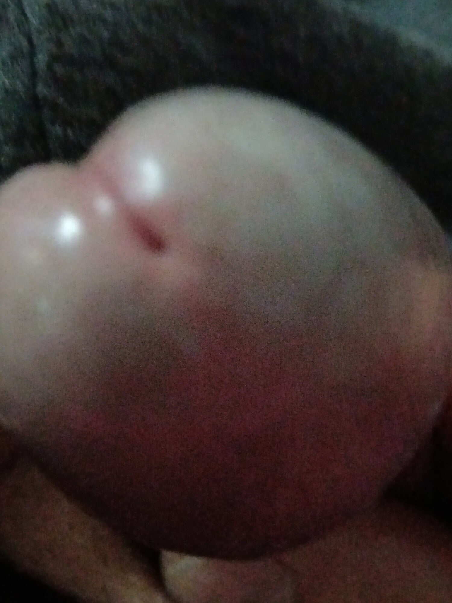 Cock #3