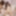 Mika Sumire &amp; HITOMI :: Swapping Wish Comes True - CARIBBEAN #13