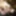 Cassie Laine Erotic Masturbation