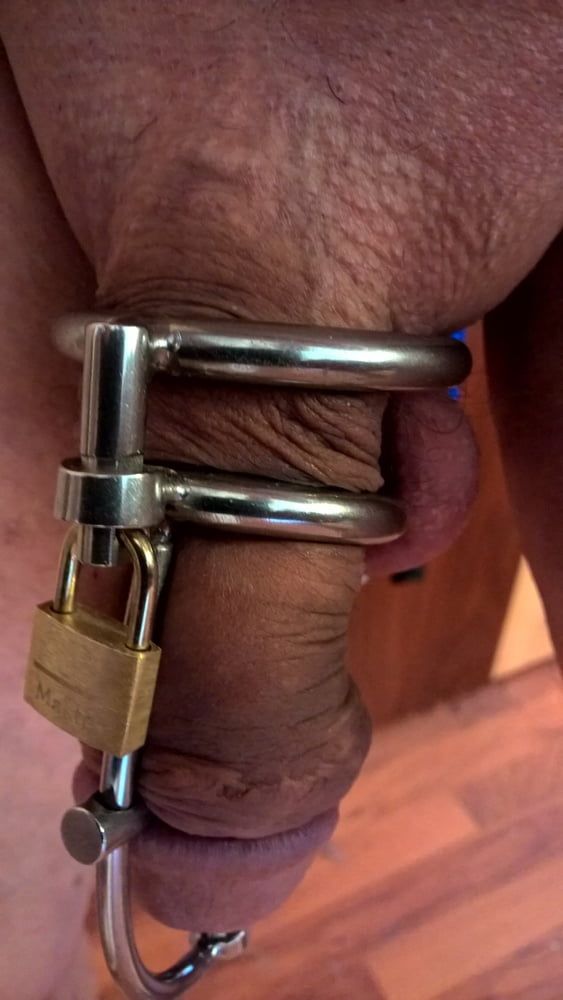 Penis cage Torture Cage 3