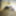 Aldrmrxxx horny wife