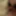 Mi penis furry