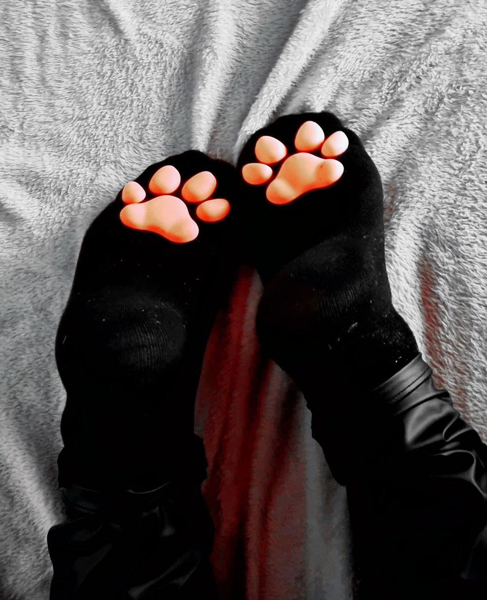 My sweet Paw socks #5