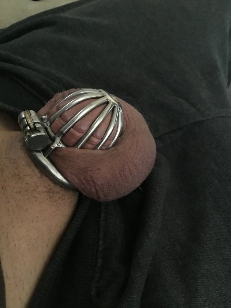 Tiny Caged Cock with Purple balls #3