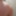 MY ASS and COCK in little tanga (too smal) #3
