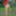 Redhead Outdoors Strips Jeans Off Wearing Pantyhose #45