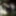 2020 pics