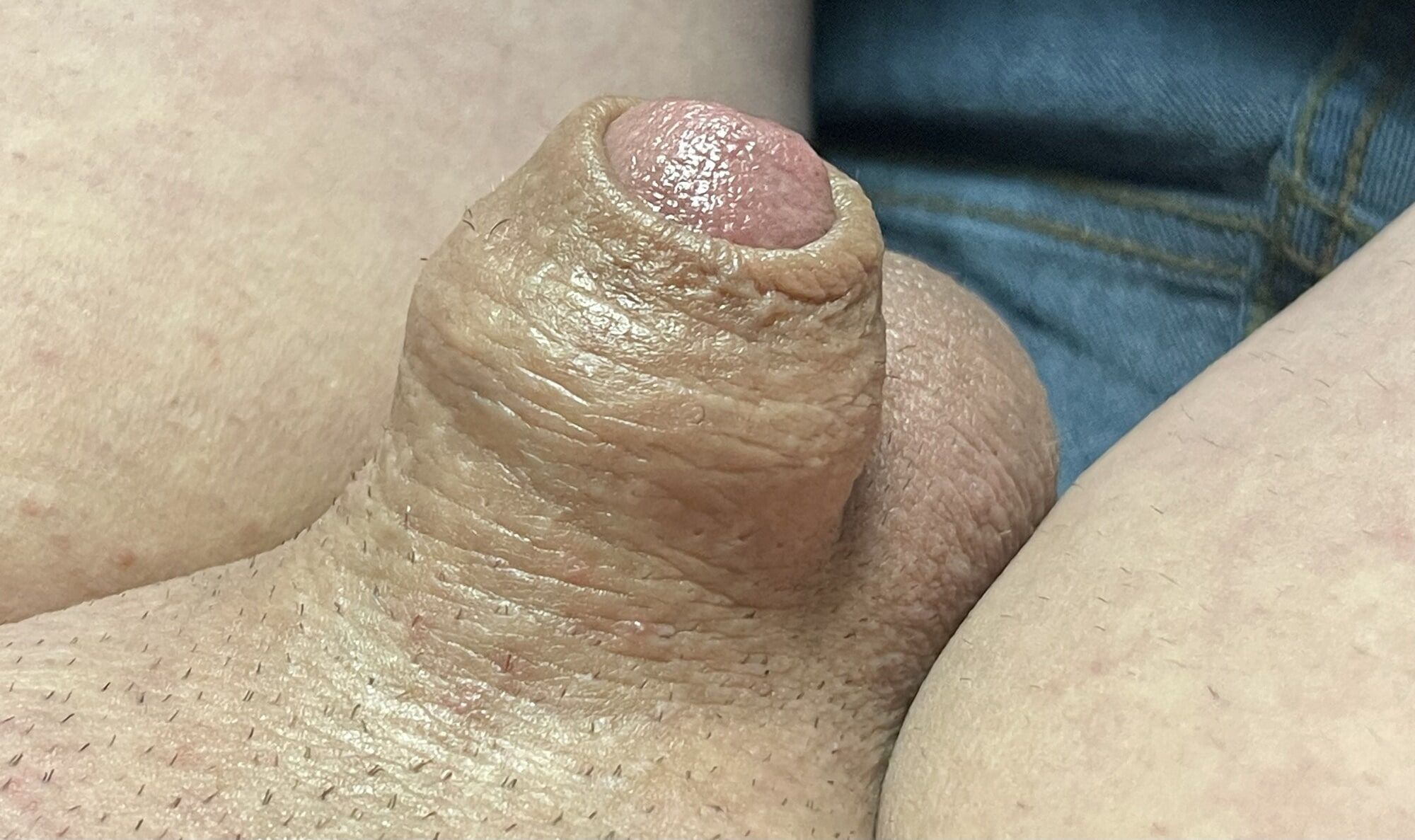 Inverted tiny penis #15
