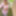 Amateur Crossdresser Kellycd2022 sexy milf in stockings  #15