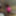 Bisexual threesome