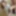 Yui Kisaragi :: Alternated BJ And Insert 2 - CARIBBEANCOM
