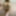 Photo Collection
