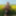 Outfit change in canola field