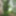 Naked Forest #3
