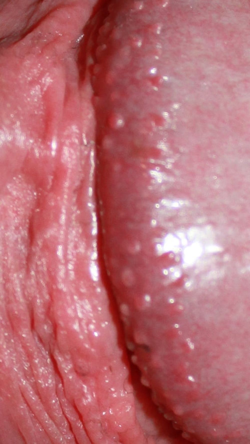 Close up dick #40