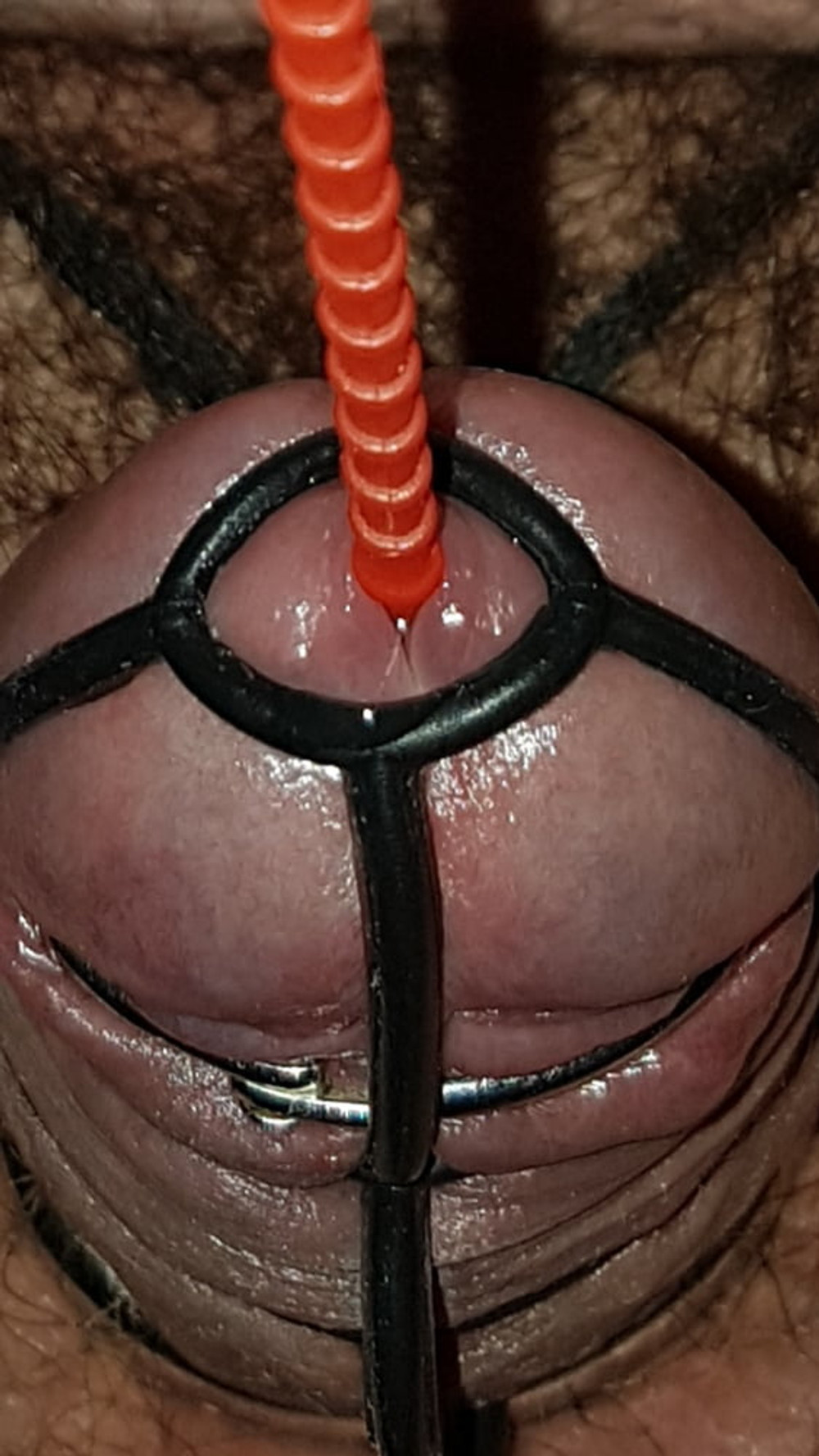 Urethral insertion #11