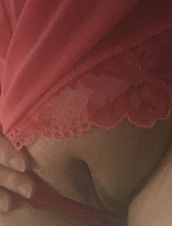 Sua flor rosa favorita