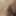 Lily Leigh's Intimate Playtime #6 (Part 2 of 2) #17