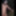 Nude walk on the forest path from the Waldkunstfahrt Darmsta #43