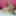 Alisya JC weekly photos №9