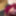 Cosplay Sexy Hot Blowjob with Funny Faces of a Teen Redhead  #9