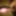 Desi boy sex photos 