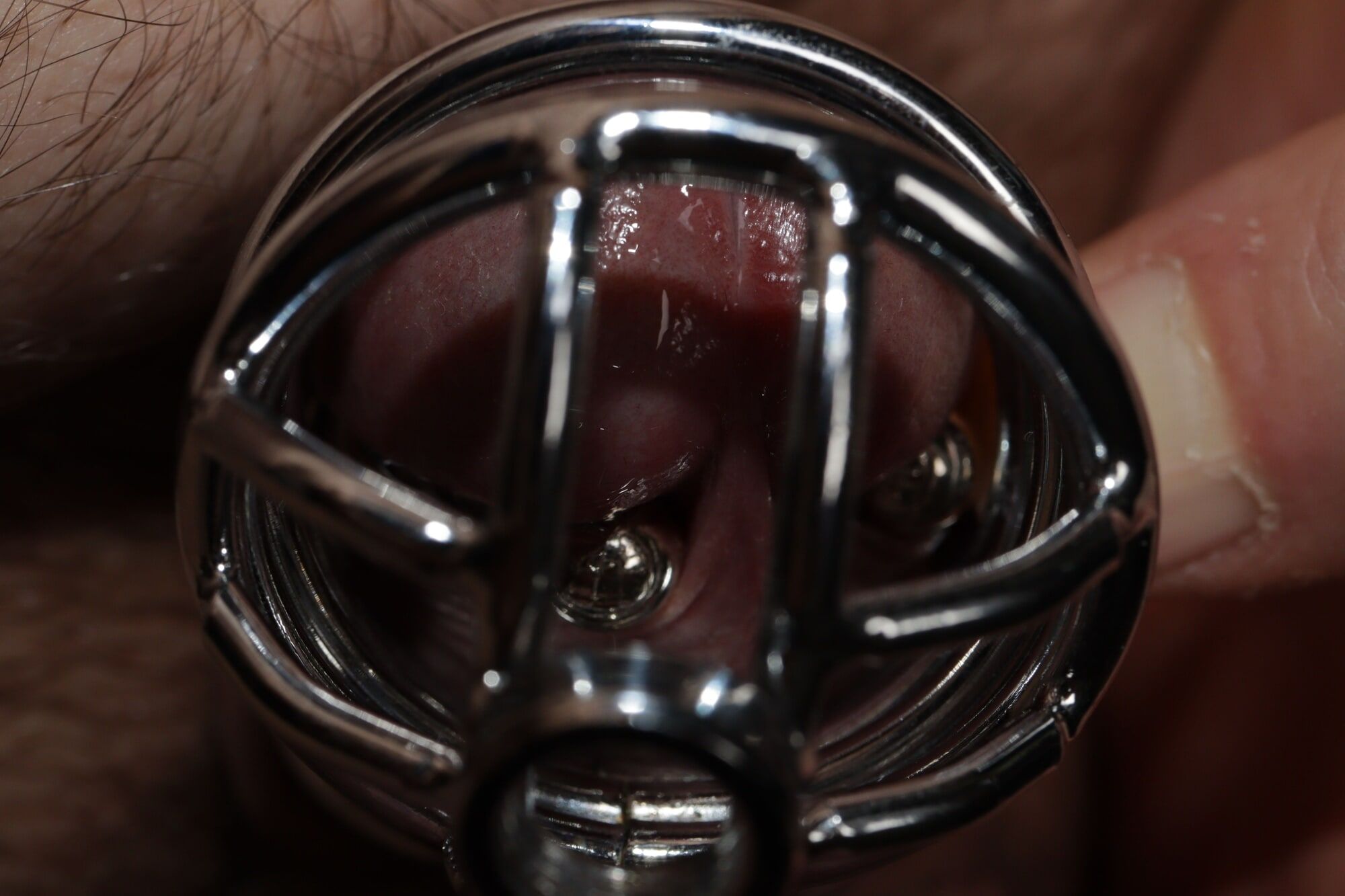 chastity cage and ball ring #12