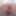 Fat Daddy Nick&#039;s close ups gallery #5