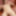 Mikuro Komori :: Getting Up Sensitive Masochist Nipples - CA #15