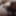 Indian man masturbating at home