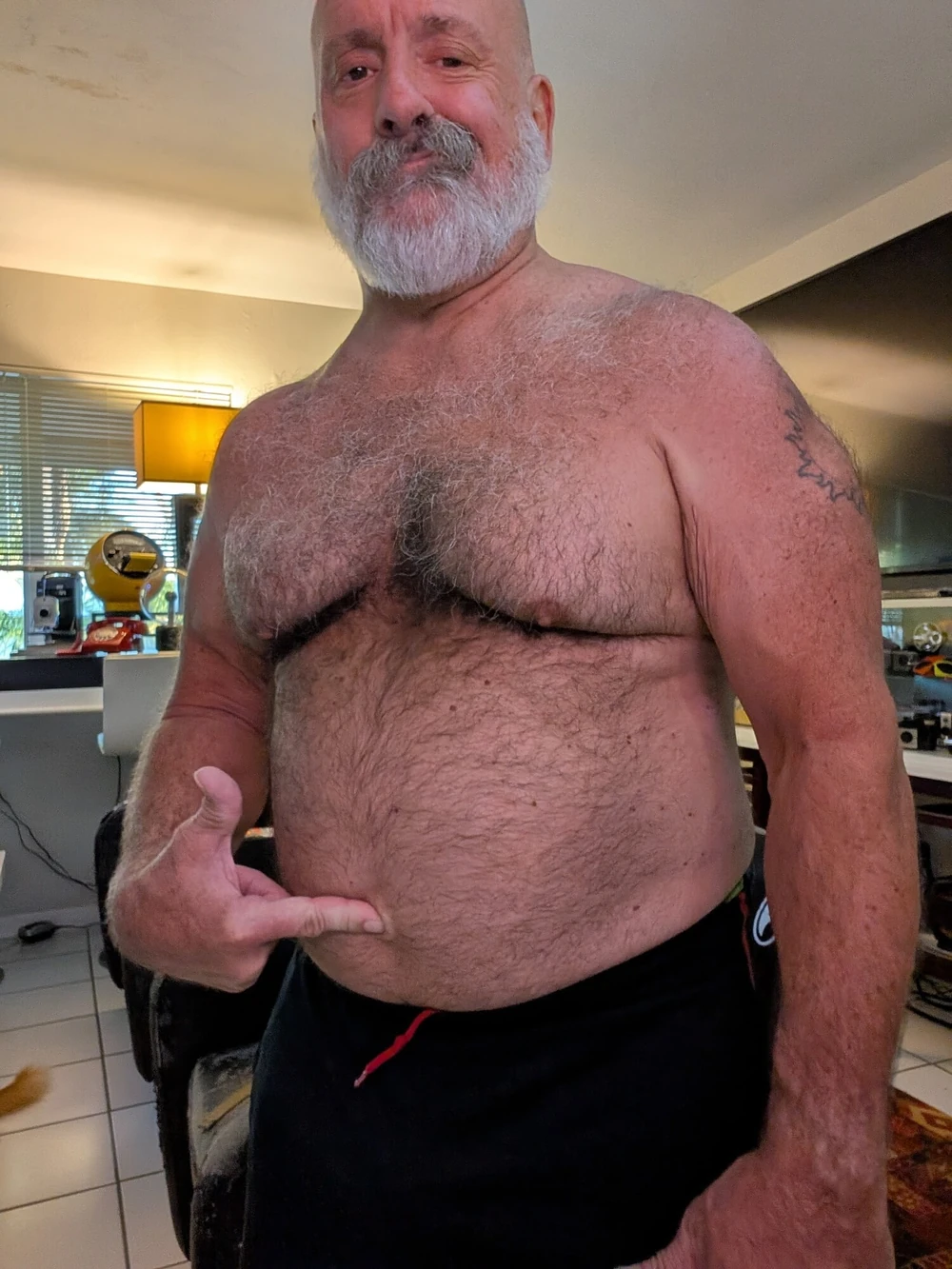 Mister bear #3
