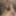 Ücretsiz LillyMania Fotoğrafları
