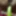 My wife sex with kheera