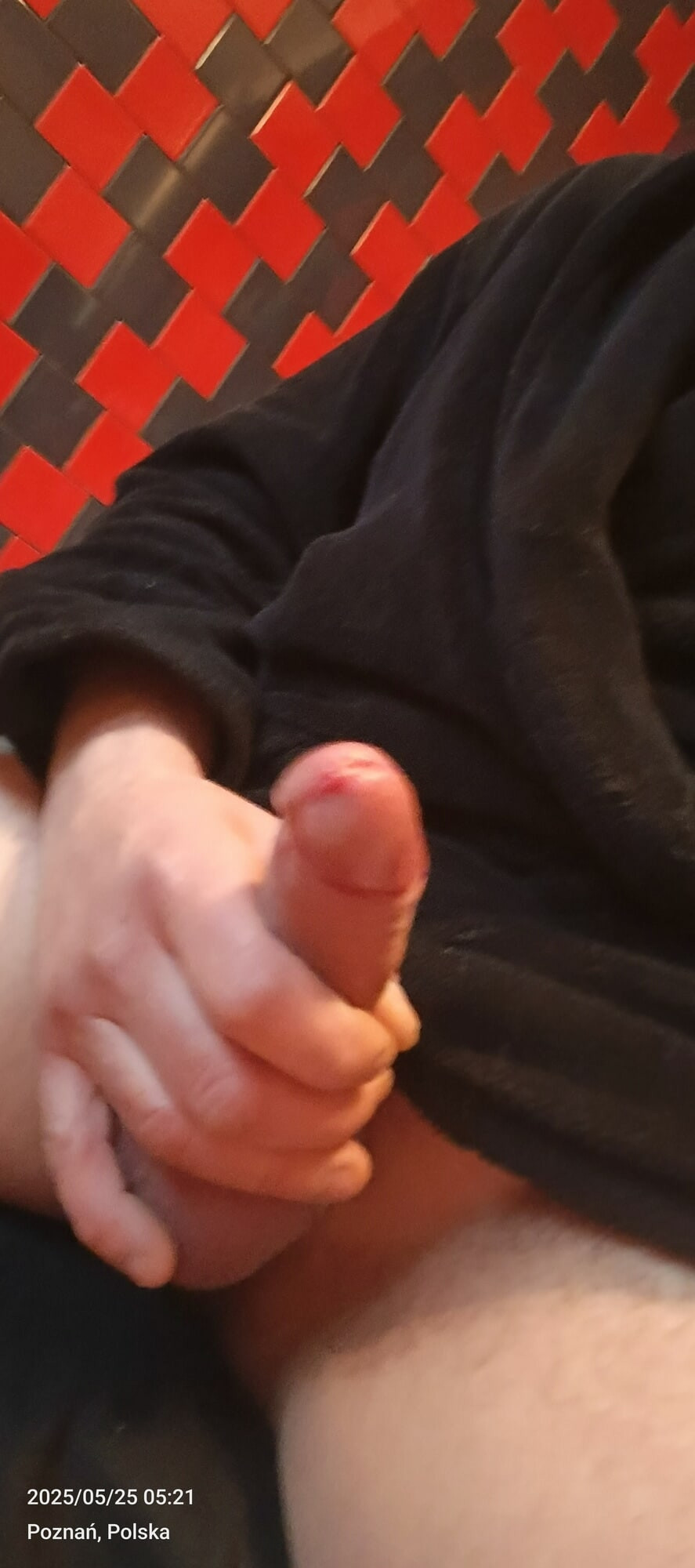 Penis #48