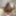 FHUTA - Ebony MILF Ana Foxxx Gets Fucked In The Ass By Instr