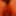 Some random furry images of me #6