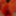 Feet in oranges