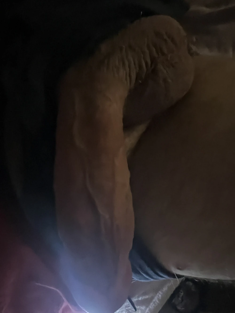 Hard cock swollen  #3