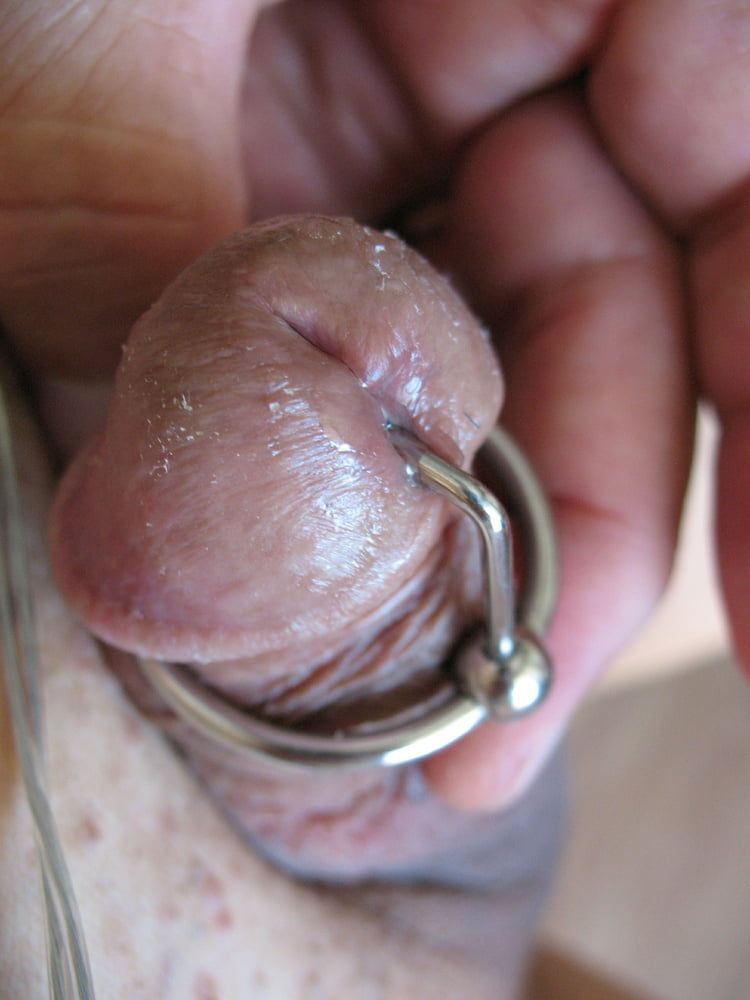 More steel in my cock with glans ring #12