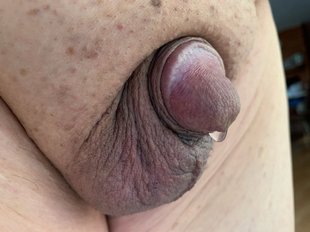 Cute little cock with precum #9