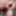 Prostate masage - the drop of precum pouring out of my cock #8