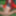 Redhead Outdoors Strips Jeans Off Wearing Pantyhose #55