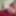 2019 random  #24