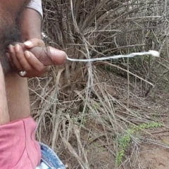 Bharat cock anantapur 