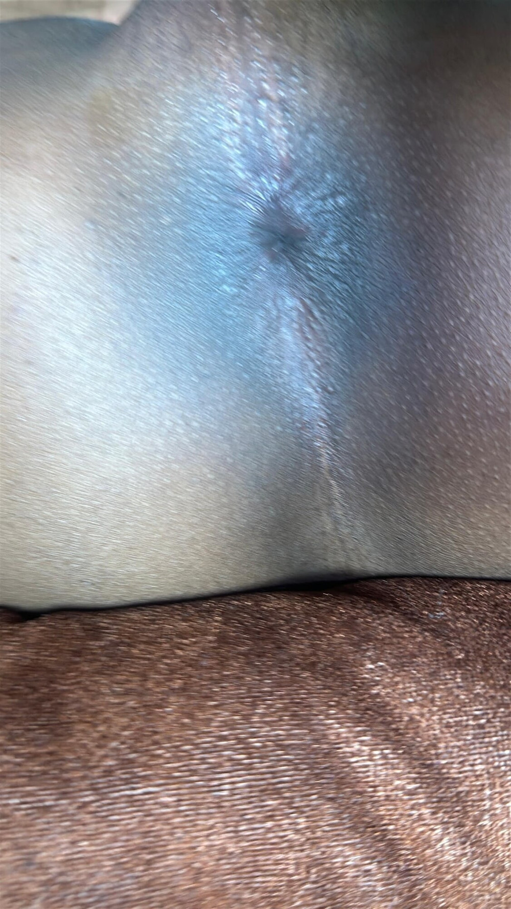 Two horny friends  #45