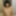 Asian babe sucks until I cum for her #55