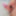 Mi Pene con Una Ereccion deliciosa en la Calle - 01 #19