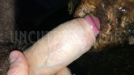 Fat cock fucking a hole