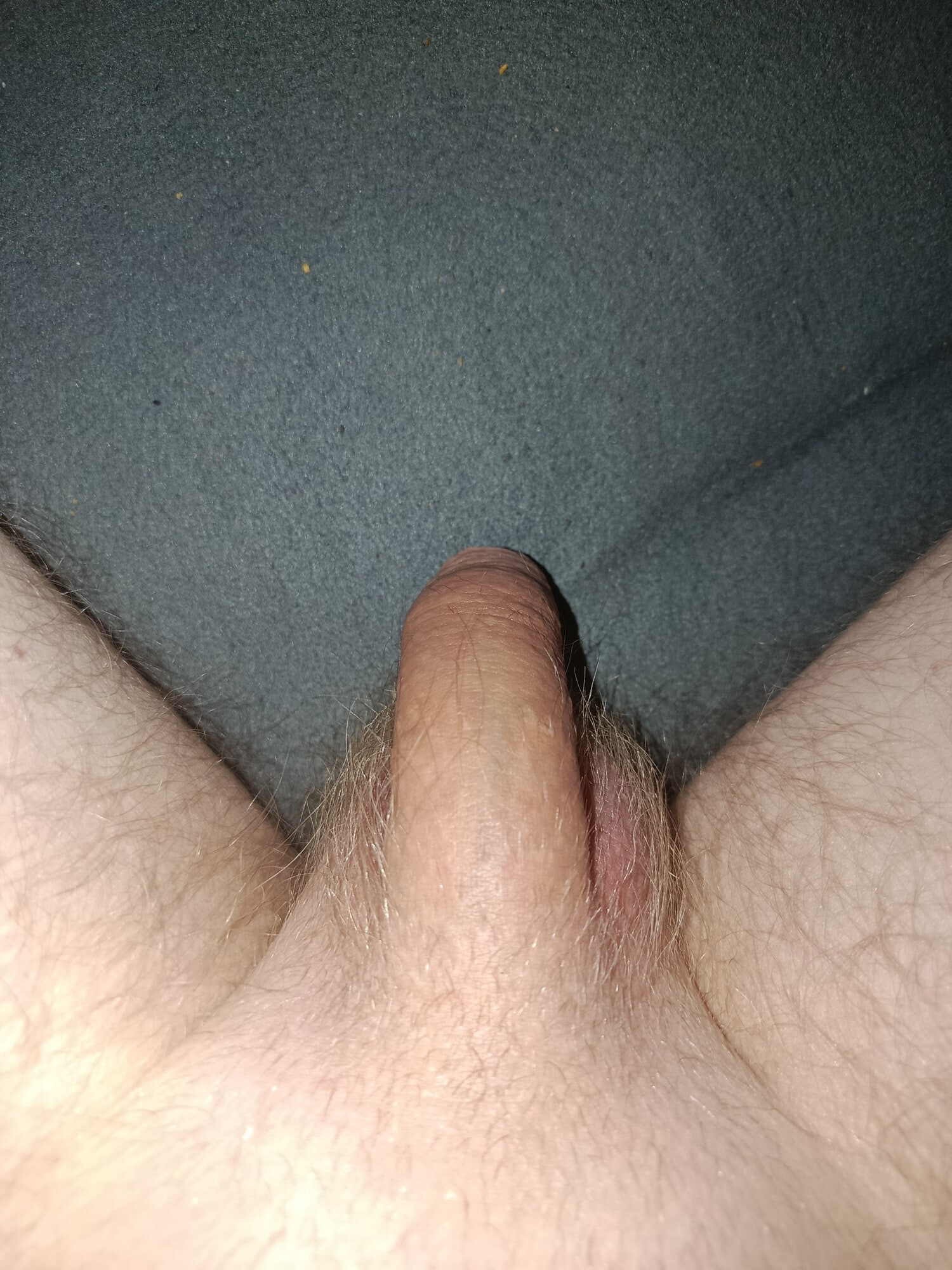 Mein Schwanz 