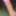Dick